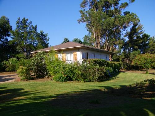 Domaine Amandiers - L'Eucalyptus gîte à louer Porticcio