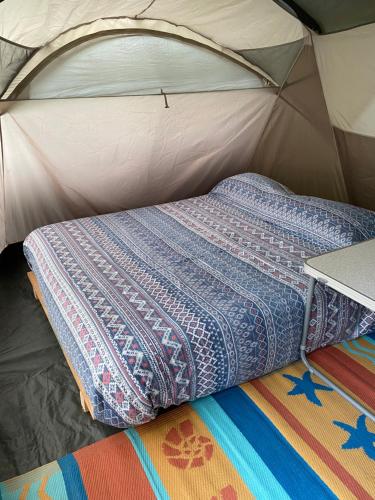 Glamping Mañihueico (Glamping Manihueico) in Contao