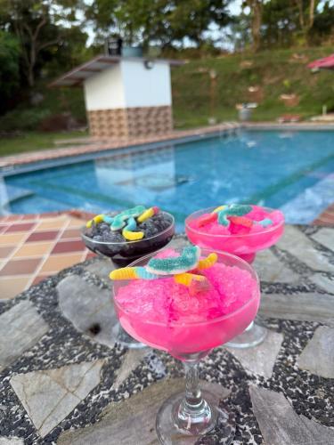 Cabana tipo glamping con jacuzzi y malla catamaran en finca la fortuna in Palicare