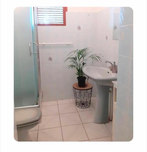 Chambre pour femme à 5 minutes de la plage (Chambre pour femme a 5 minutes de la plage) in Le Moule