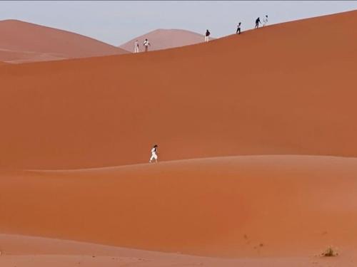 Luxury Dune's Camp in Takojt