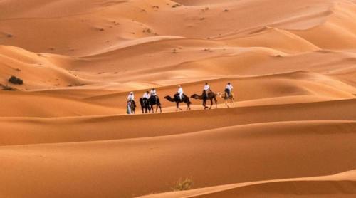 Luxury Dune's Camp in Takojt
