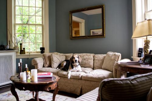 Clifford House Private Home B&B in Cleveland, USA