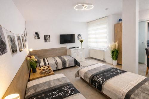 2 Room Galerie Einliegerwohnung in Rheinstetten, Messe Nähe, Rollstuhlfahrer geeignet 5