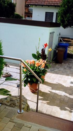 Vista exterior, Ferienwohnung Seegarten in Bad Mergentheim City Center