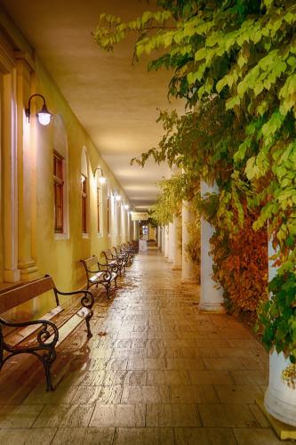 Ensana Pro Patria obrázok