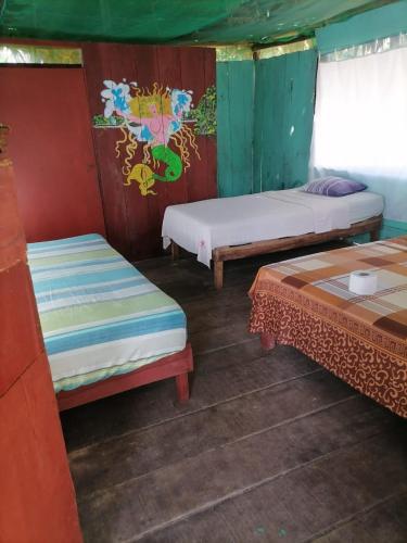 Tour iquitos & pacaya samiria lodge in 印地安那