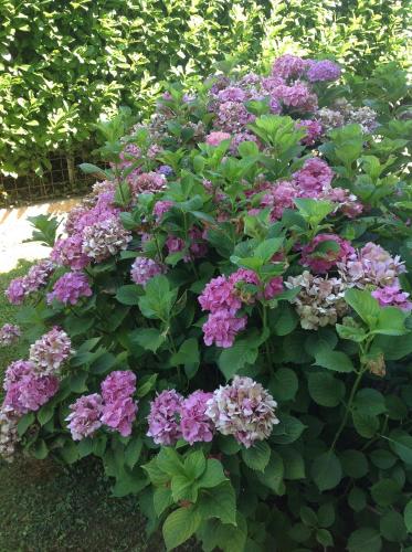Le Tre Querce B&B – Romano d'Ezzelino, AL