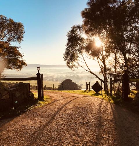 Pear Tree Hollow in Torrens Vale