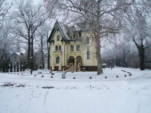 Guest House Vila Lujza - main image