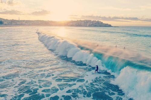 Sunny Bondi - image 8