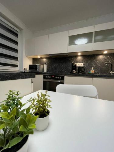 Konyha, Gemütliches EG-Apartment in Weißenthurm für 6 (Gemutliches EG-Apartment in Weißenthurm fur 6) in Andernach