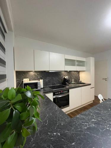 Konyha, Gemütliches EG-Apartment in Weißenthurm für 6 (Gemutliches EG-Apartment in Weißenthurm fur 6) in Andernach