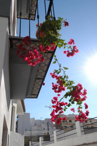 Apartamentos El Tranco del Mar