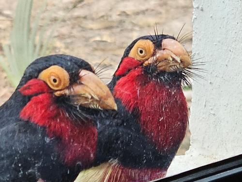 mama folonko eco lodge with ,uncrowded beautiful beach in Gunjur