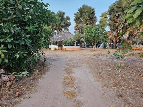 mama folonko eco lodge with ,uncrowded beautiful beach in Gunjur