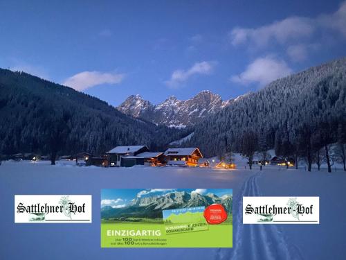 Sattlehnerhof - Apartment - Ramsau am Dachstein
