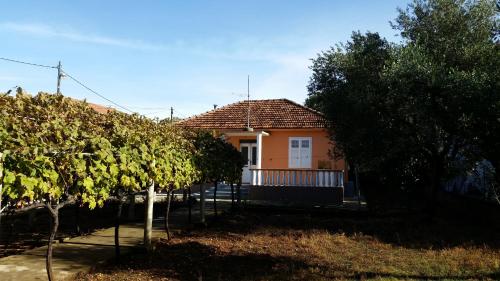  Kuća Marina in Bibinje
