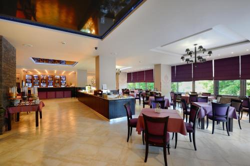 Sana Spa Hotel - image 2