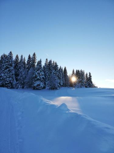 Le Chalet des Pas Sages in Longevilles-Mont-d'Or