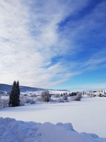 Le Chalet des Pas Sages in Longevilles-Mont-d'Or