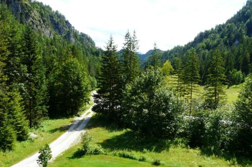 Balkons/terase, NaturparkResort Wildnisquartier Schneckengraben in Wildalpen