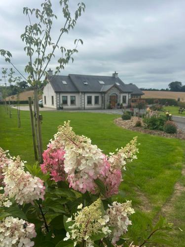 Edenmore Cottage Bed & Breakfast - Upper Ballinderry