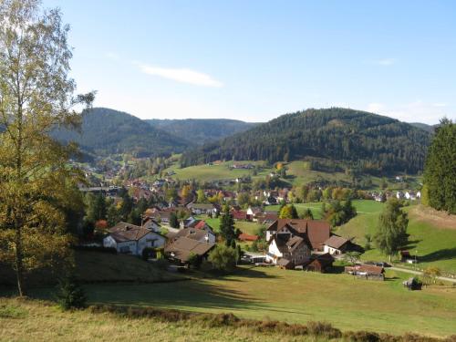 Buhlbach, Black Forest Retreat, mit Sonnenterrasse in Baiersbronn