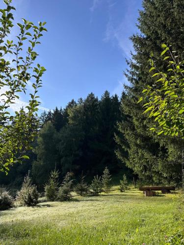 Dārzs, Ferienhaus am Wald in Nahetal-Waldau
