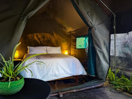 Victoria Falls Backpackers Lodge in Victoria Falls