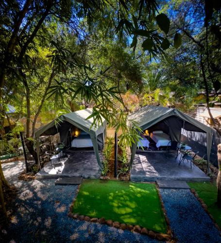 Victoria Falls Backpackers Lodge in Victoria Falls