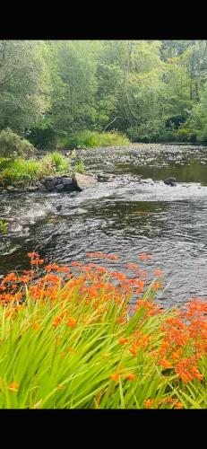 Lakeside in Moycullen