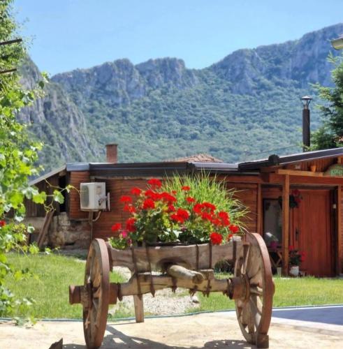 Ramonda Serbica - Gorge View & Peacful Nature Retreat, Niš
