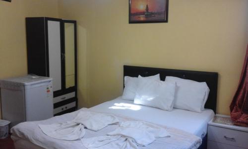 Bereket traveler Hotel, Istanbul (fotografie 6)