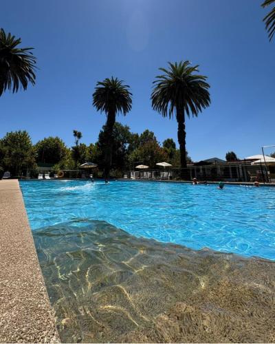 Resort Termas de Panimávida - Hotel & Spa (Resort Termas de Panimavida - Hotel & Spa) in Panimávida