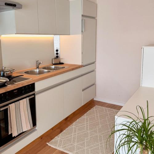 kuhinja, Panoramablick-Apartment mit Terrasse bei Bregenz in Wolfurt