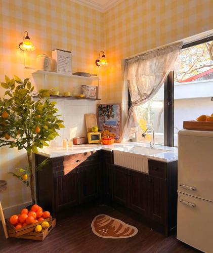 Peachy Studio 5