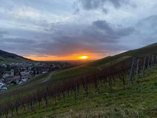 Rebland Escape in Baden-Baden, Deutschland