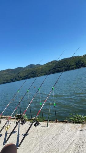 Skats, Belvedere Yacht Club Berzasca in Berzasca