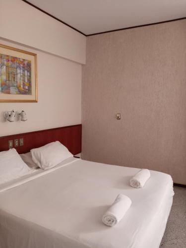 Paranainn Hotel Asunción