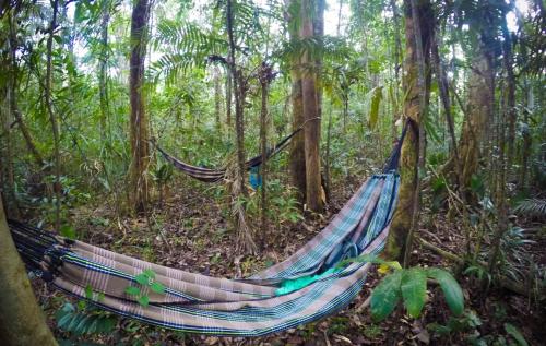 Acampamento selvagem in Rio Preto da Eva