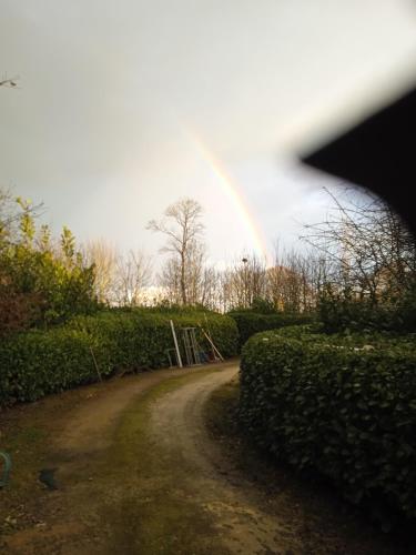 Olive's and Chestnut Cottages gîte à louer Husson