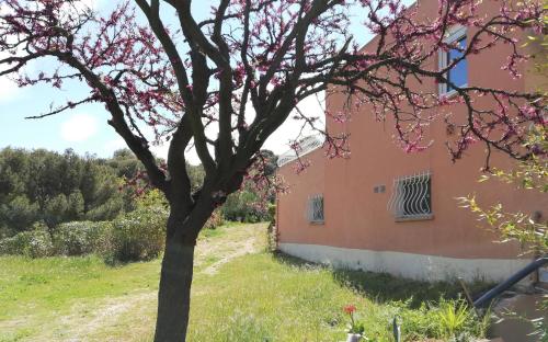 Kert, Studio 35m2 climatisé, 10mn des calanques (Studio 35m2 climatise, 10mn des calanques) in La Ciotat