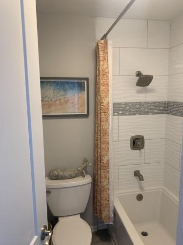Island Escape- Breath taking view, ocean front CONDO! Redone unit in Makaha (HI)