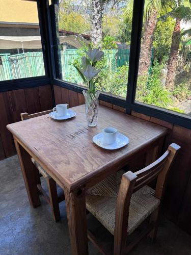 Queso de Luna ALOJAMIENTO in Tepoztlan