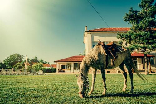 . Guest House Ongal