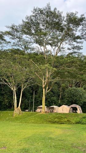 Batoo Farm Adventure - Ground Of Adventure in Kemang