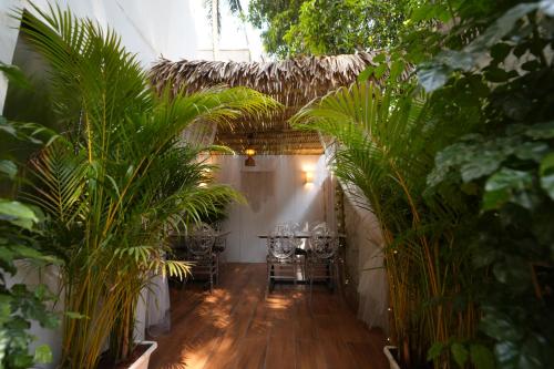 Zen Colive near Osho International Meditation Resort and Guesthouse