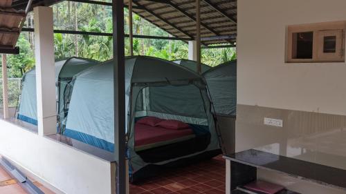 Thota'dha Tent Stay in Koothi