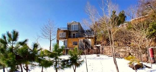 Midway Murree Murree 